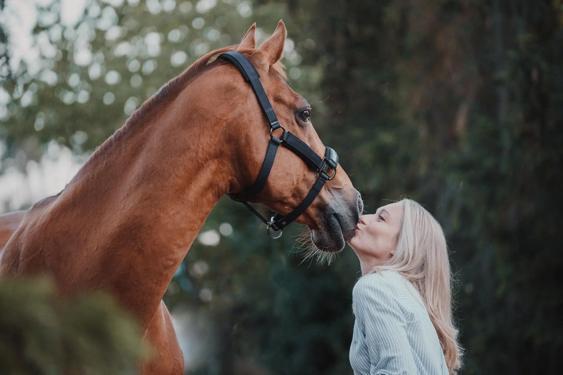 Nadine küsst Pferd Adgi auf die Nase